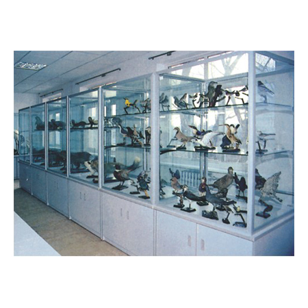 RJ-1607